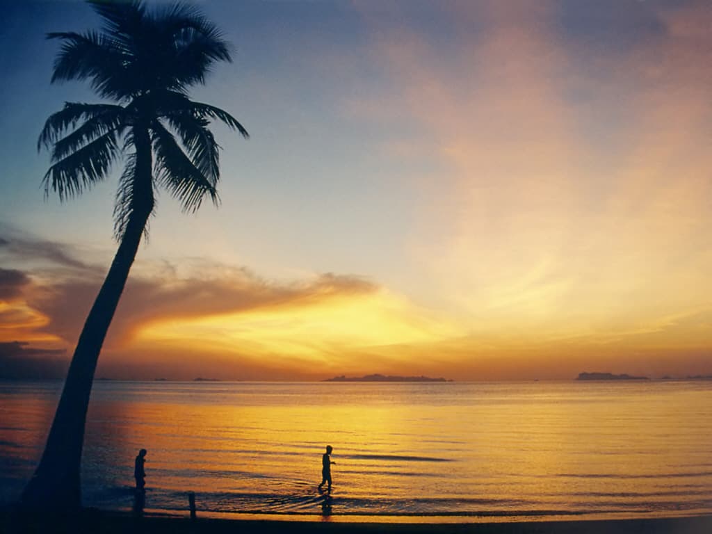 Palm beach on Koh Samui