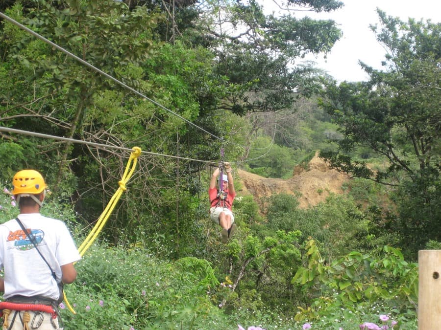 Tree Bridge Zipline